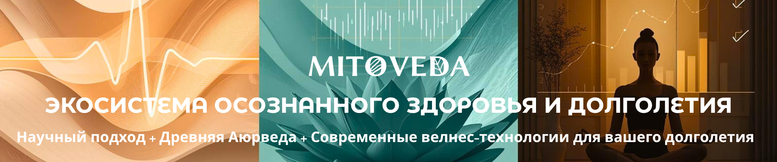 Баннеры Элеганс - консультации в центре 2022-1